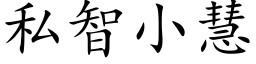 私智小慧 (楷体矢量字库)