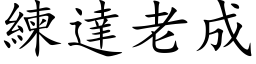 練達老成 (楷体矢量字库)