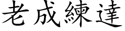 老成練達 (楷体矢量字库)