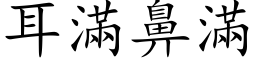 耳满鼻满 (楷体矢量字库)