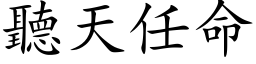 听天任命 (楷体矢量字库)