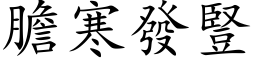 膽寒發豎 (楷体矢量字库)