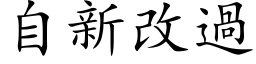 自新改過 (楷体矢量字库)