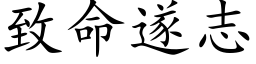 致命遂志 (楷体矢量字库)