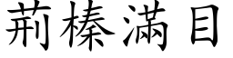 荊榛滿目 (楷体矢量字库)