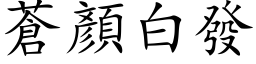 蒼顏白發 (楷体矢量字库)