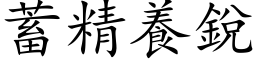 蓄精养锐 (楷体矢量字库)