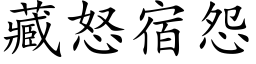 藏怒宿怨 (楷体矢量字库)