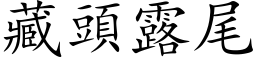 藏頭露尾 (楷体矢量字库)