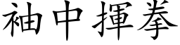 袖中揮拳 (楷体矢量字库)