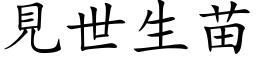 见世生苗 (楷体矢量字库)