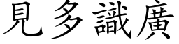 见多识广 (楷体矢量字库)