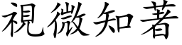 視微知著 (楷体矢量字库)