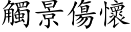 触景伤怀 (楷体矢量字库)