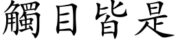 触目皆是 (楷体矢量字库)