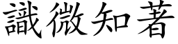 识微知著 (楷体矢量字库)