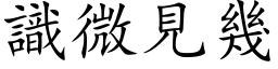 識微見幾 (楷体矢量字库)