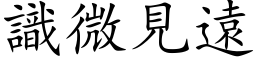 识微见远 (楷体矢量字库)