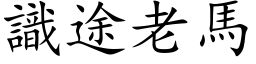 識途老馬 (楷体矢量字库)