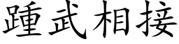 踵武相接 (楷体矢量字库)