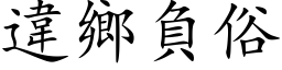 違鄉負俗 (楷体矢量字库)