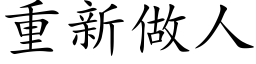 重新做人 (楷体矢量字库)