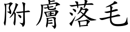 附肤落毛 (楷体矢量字库)