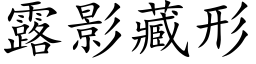 露影藏形 (楷体矢量字库)