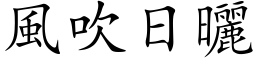 风吹日晒 (楷体矢量字库)