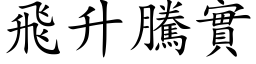 飞升腾实 (楷体矢量字库)