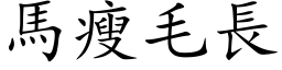 馬瘦毛長 (楷体矢量字库)