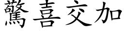 驚喜交加 (楷体矢量字库)