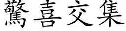 惊喜交集 (楷体矢量字库)