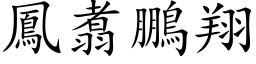 凤翥鹏翔 (楷体矢量字库)