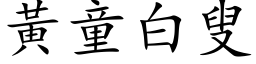 黄童白叟 (楷体矢量字库)