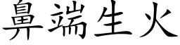 鼻端生火 (楷体矢量字库)