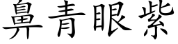 鼻青眼紫 (楷体矢量字库)